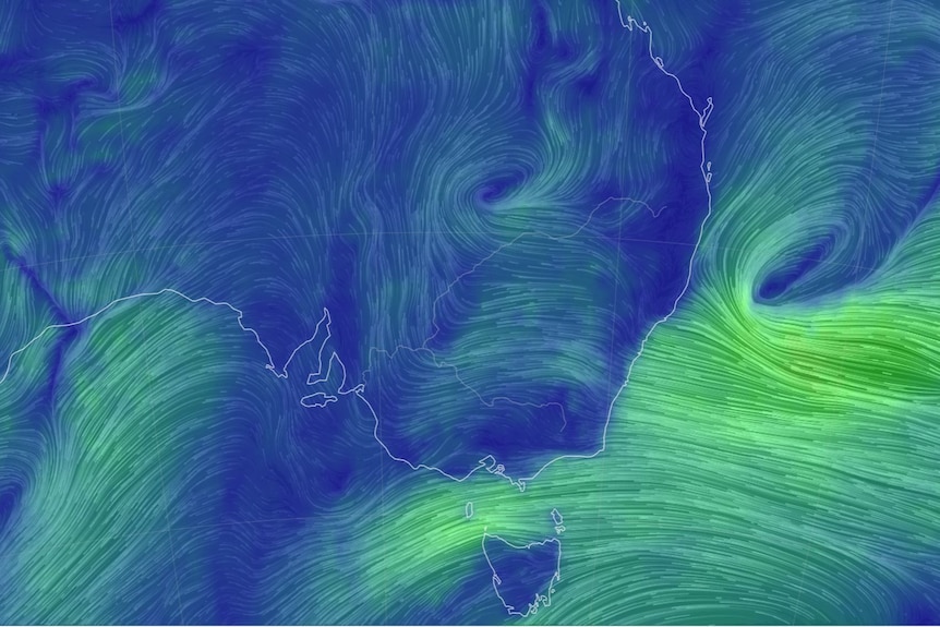 Wind map shows clockwise circulation off the NSW coast, funnelling strong winds from the east.