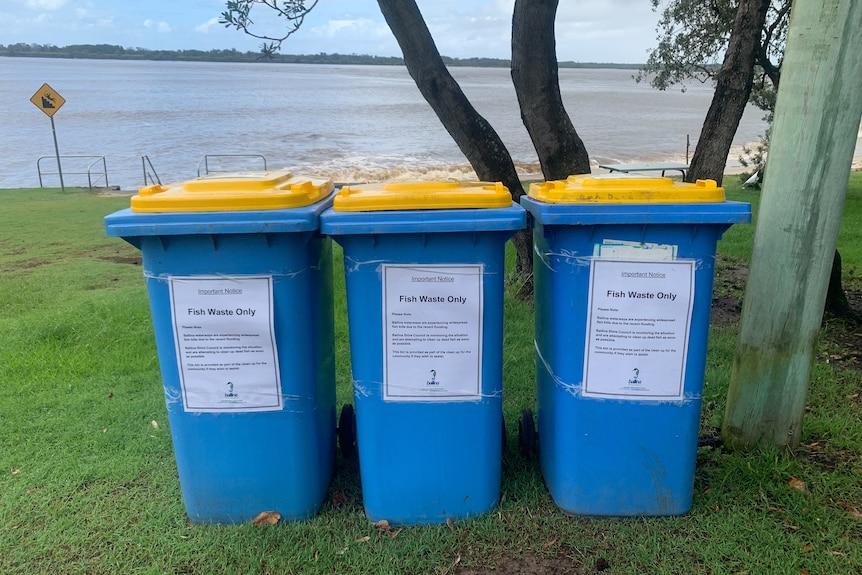 Three blue garbage bins with yellow bins in a park by the beach with 'Fish Waste Only' signs stuck on front.