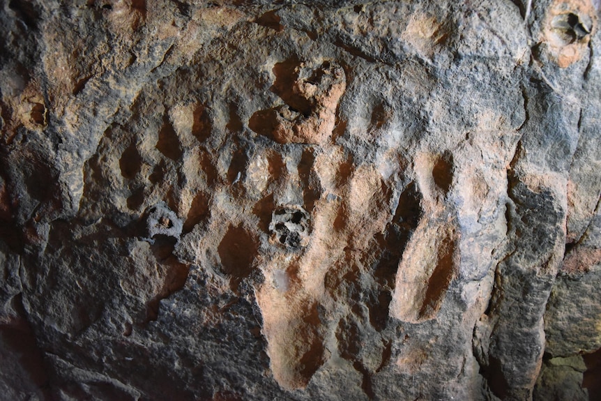 Oval indentations in a rocky surface.