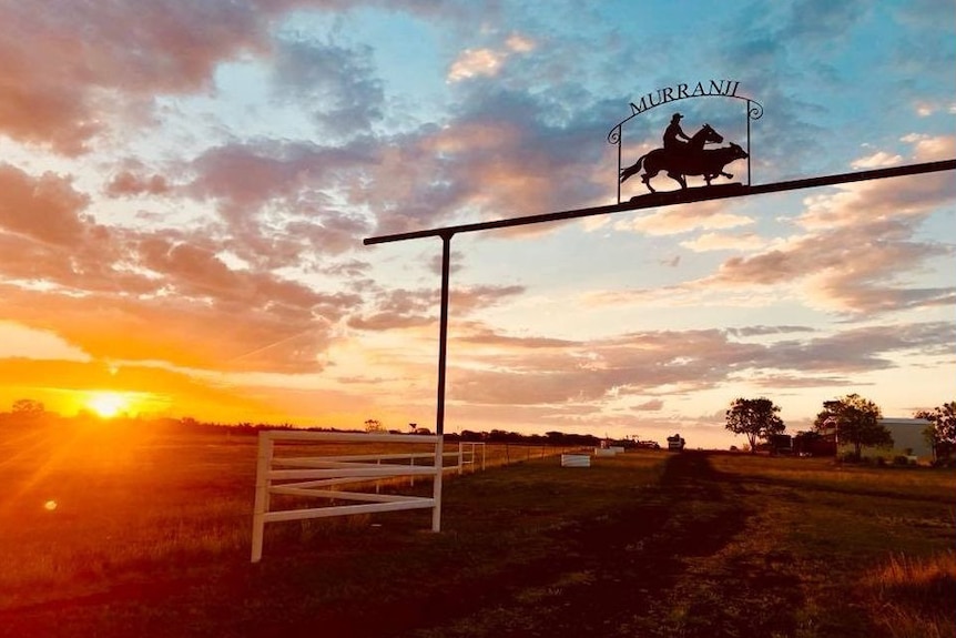 a gate with a cut-out of a man on a horse silhouetted against a sunset.