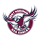 Sea Eagles