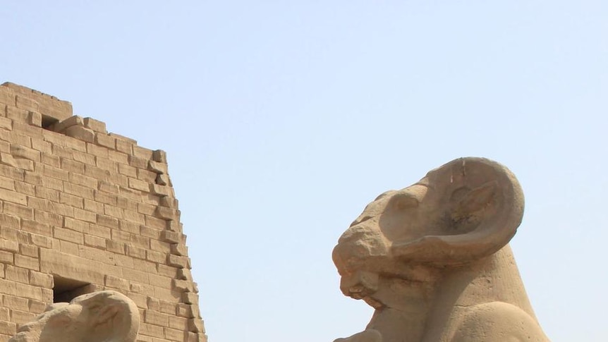 Ram-headed sphinxes outside the temple in Karnak