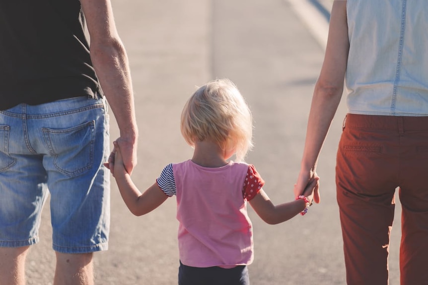 Young female toddler in a pink top holds hands of mum and dad
