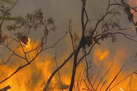 A change in weather conditions have helped firefighters in NSW. (File photo)