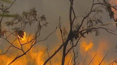 Hundreds of firefighters are working on containment lines in NSW, Victoria and Tasmania [File photo].