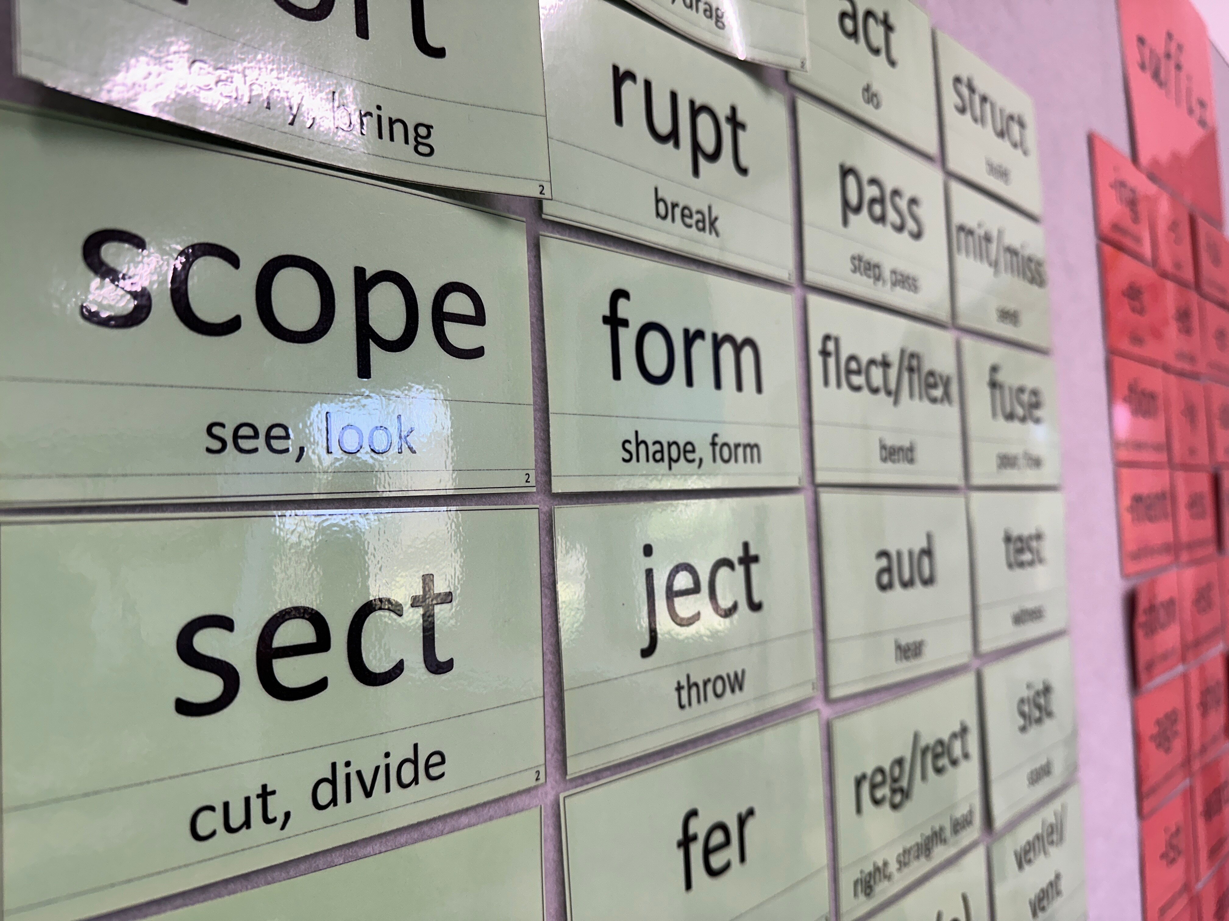 Small pieces of card with words on them are seen on a classroom wall