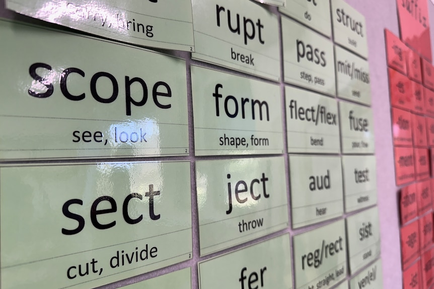 Small pieces of card with words on them are seen on a classroom wall