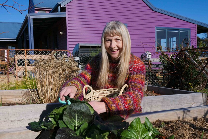 A woman harvesting green leaves from a vegetable garden with a purple house in the background