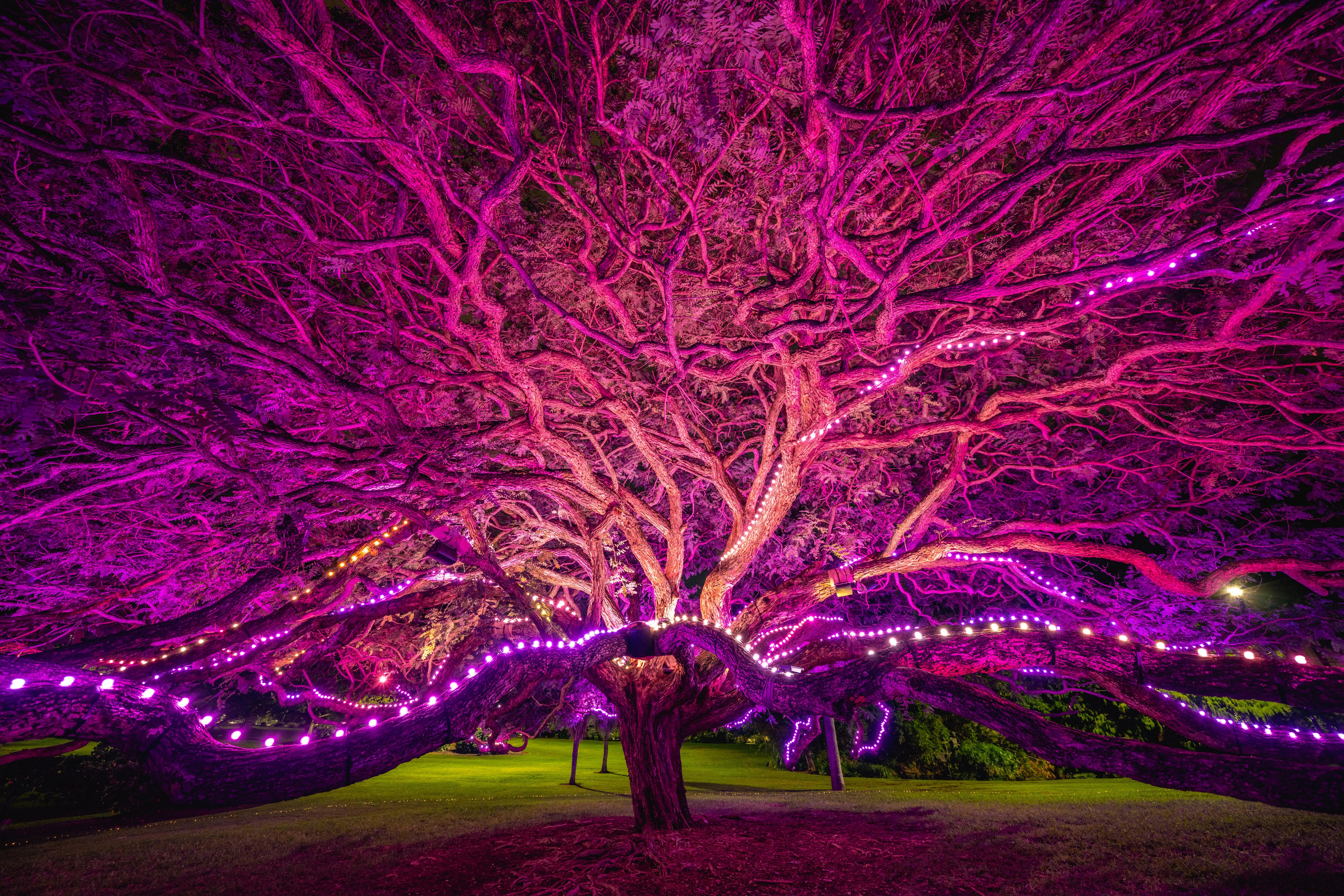 Outdoor public art festival adds light and art to natural wonders in