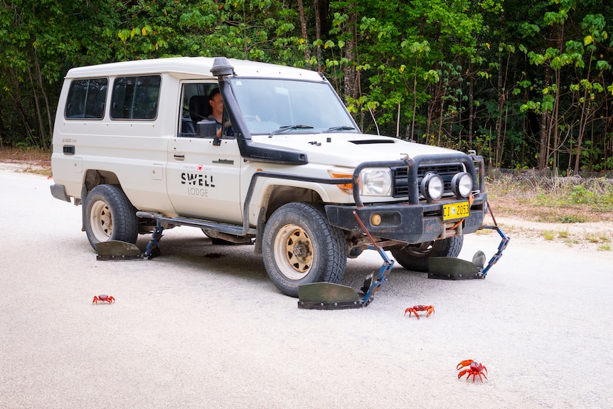 A four-wheel-drive with sweepers on the tyres to protect crabs.
