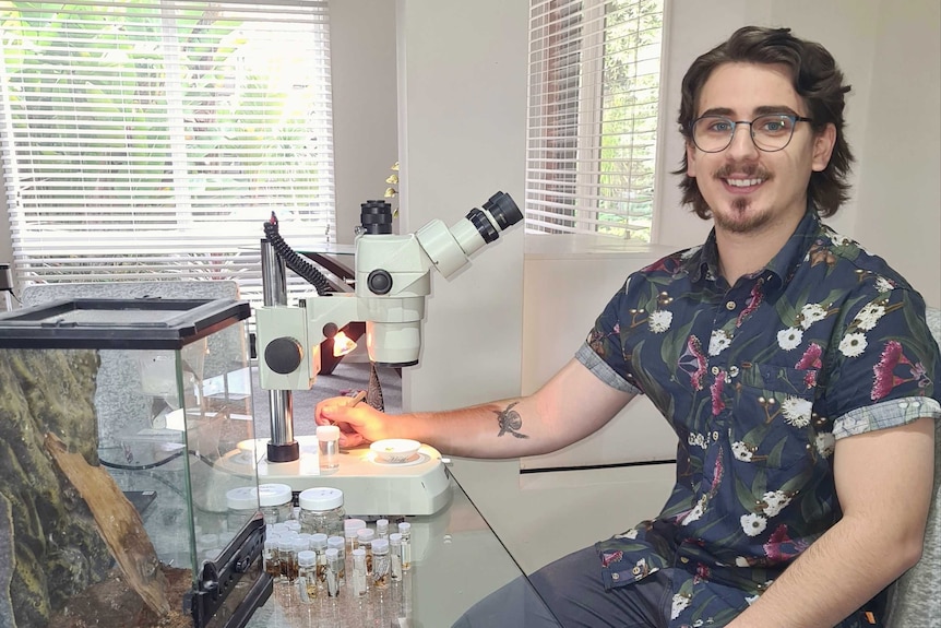 A young man with longish hair, a goatee and spectacles sits in front of a microscope with a spider enclosure.