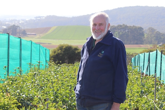 Flower grower Peter Botting stands in his field of peony plants in Forth, Tasmania.