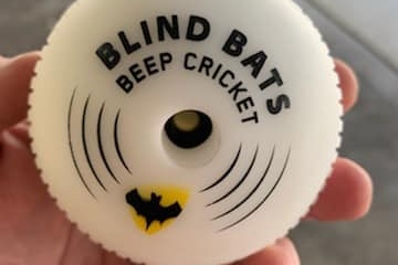 A ball emblazoned with "Blind Bats" branding.