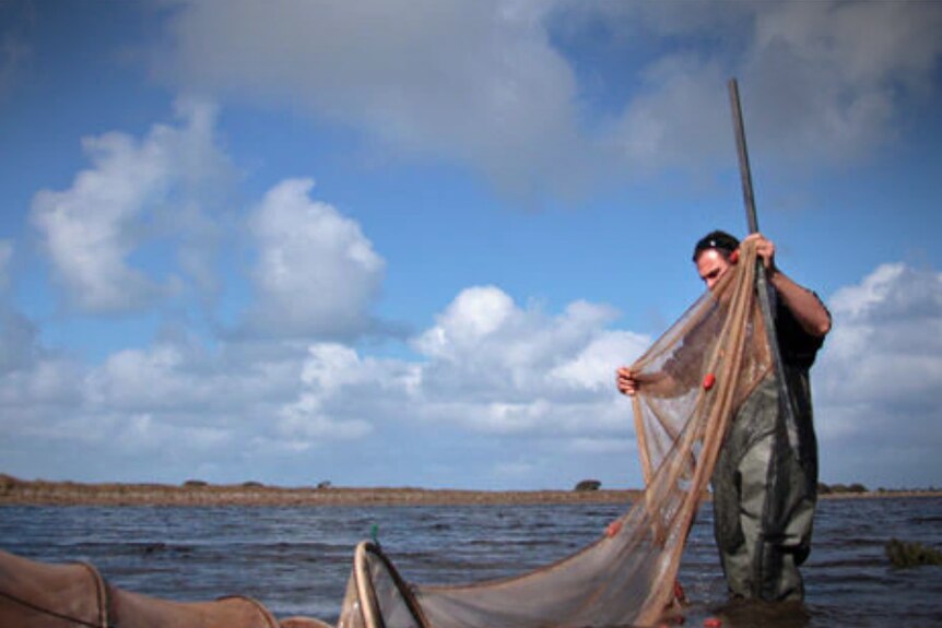 A man standing in water wielding a fishing net
