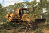 A bulldozer clearing trees on a rural property