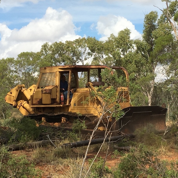 A bulldozer clearing trees on a rural property