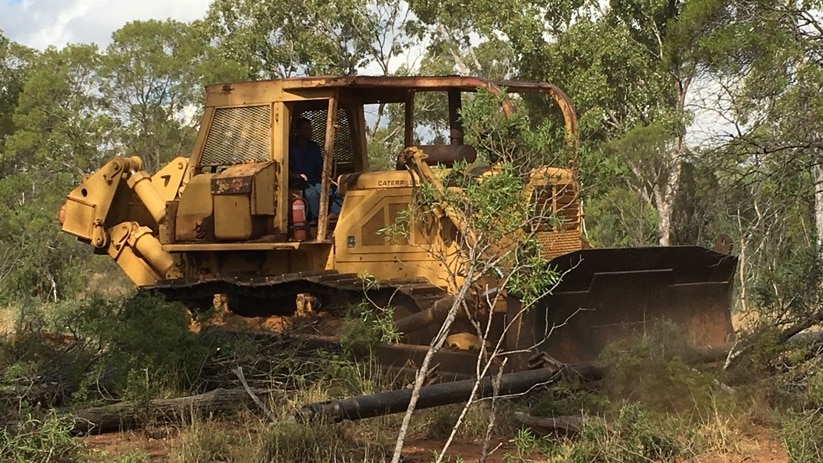 A bulldozer clearing trees on a rural property