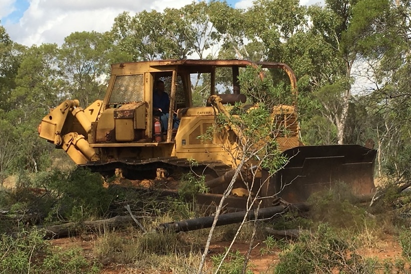 A bulldozer clearing trees on a rural property