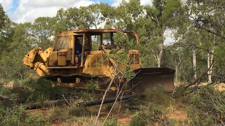 A bulldozer clearing trees on a rural property