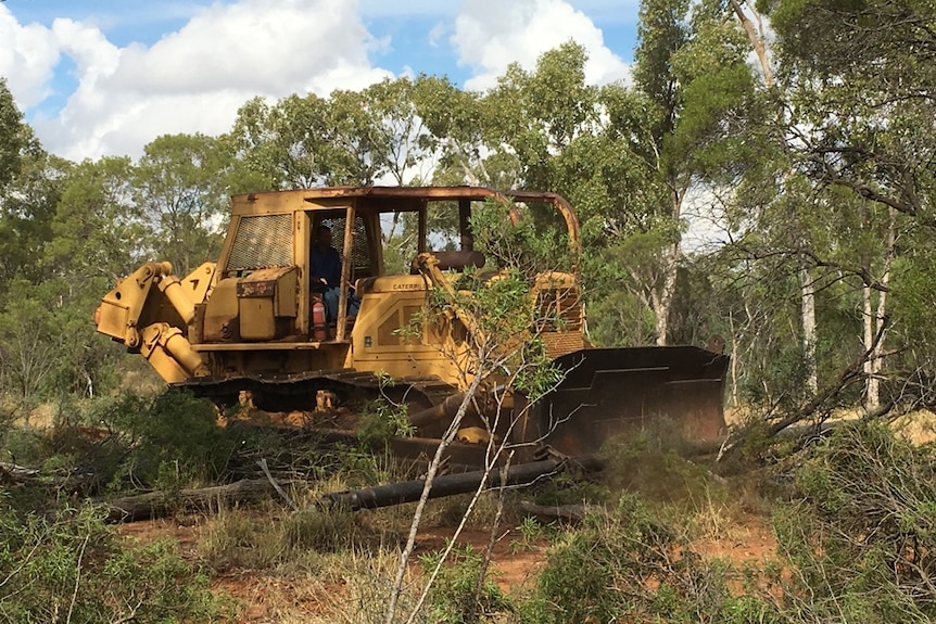 A bulldozer clearing trees on a rural property