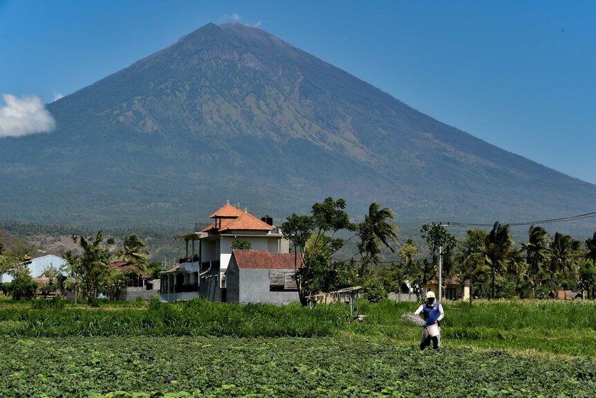 A farmer fertilises his field at the base of Mount Agung on September 27, 2017