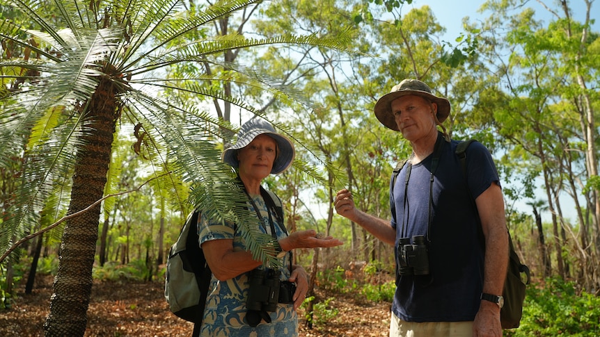 Ian Redmond and his partner Gayle stand near a cycad at Lee Point. 