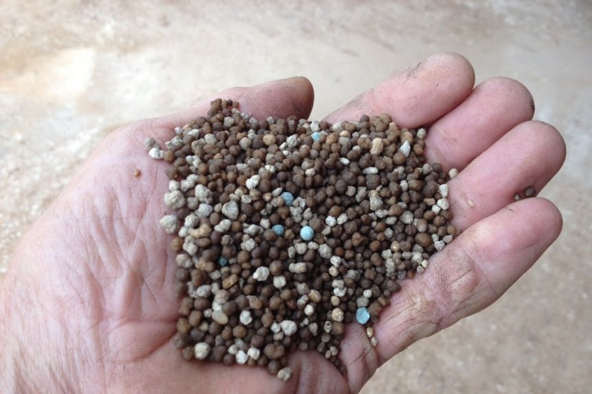Close up of a hand with a fistful of fertiliser granules