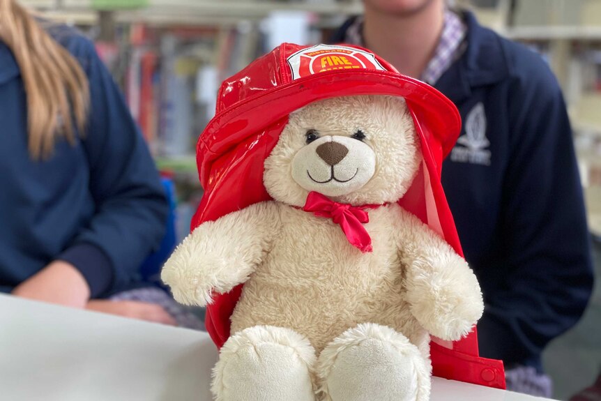 A teddy bear in a firefighter's hat.