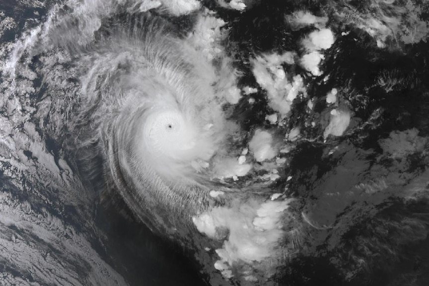 Cyclone Ilsa satellite shot.