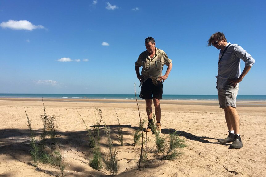 Two men look down at a circle of casuarina branches poked into the sand, in a tribute to Dr Yunupingu.