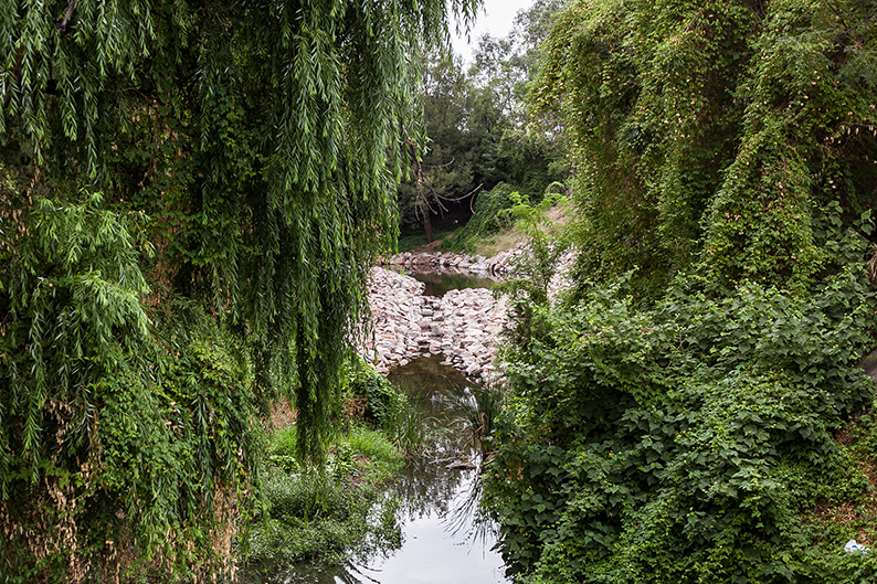 Muscle Creek flowing through Muswellbrook