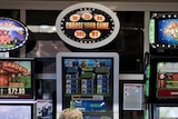 A woman plays a poker machine