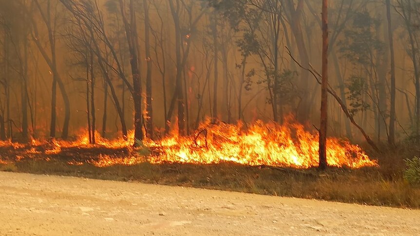 Houses and sheds destroyed, multiple firefighters require treatment in Darling Downs bushfire