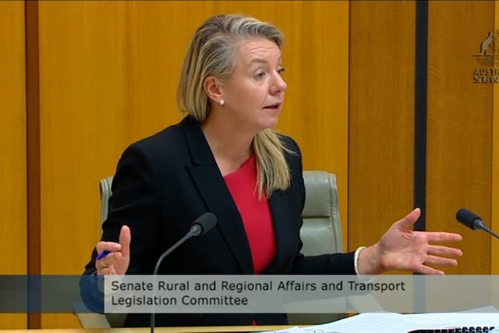 Bridget McKenzie sitting in front of two microphones.