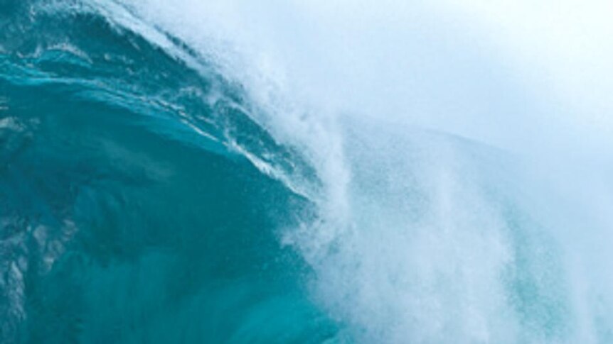 Surfer Sandy Ryan rides a wave at Shipstern Bluff in Tasmania.