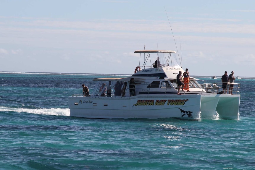 A catamaran with several people aboard sailing across the ocean.