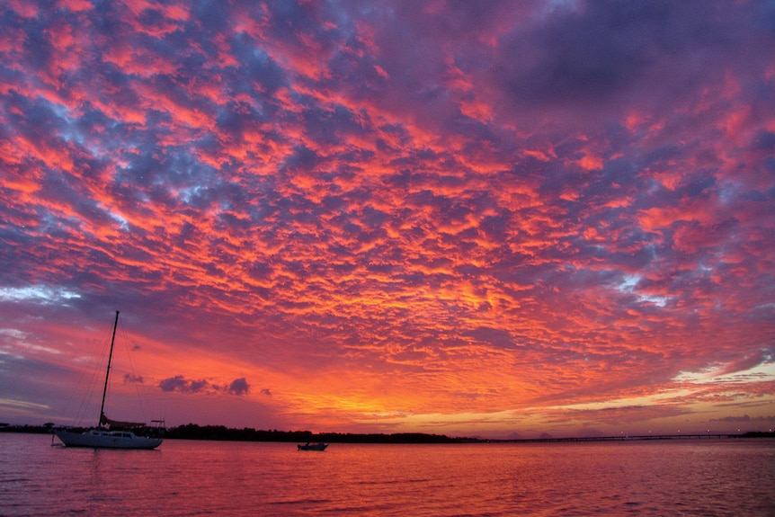 Purple and pink sunset!