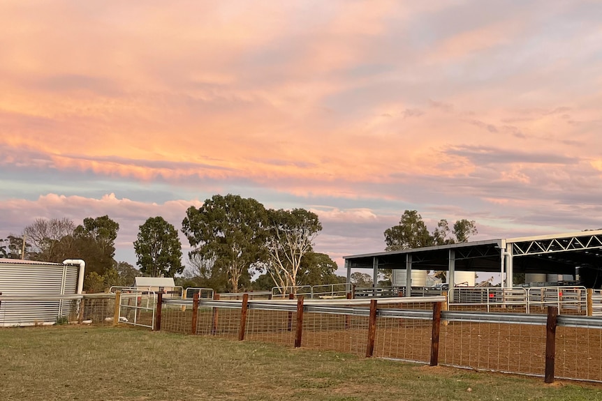 Beneath a stunning water-colour like sky, a large undercover shed sits behind sheep yards, with a new water tank on the left.