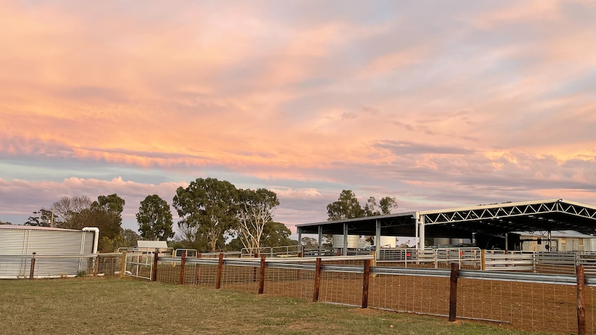 Beneath a stunning water-colour like sky, a large undercover shed sits behind sheep yards, with a new water tank on the left.