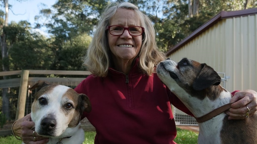 Older woman wearing glasses has arms around two dogs, including a boxer.