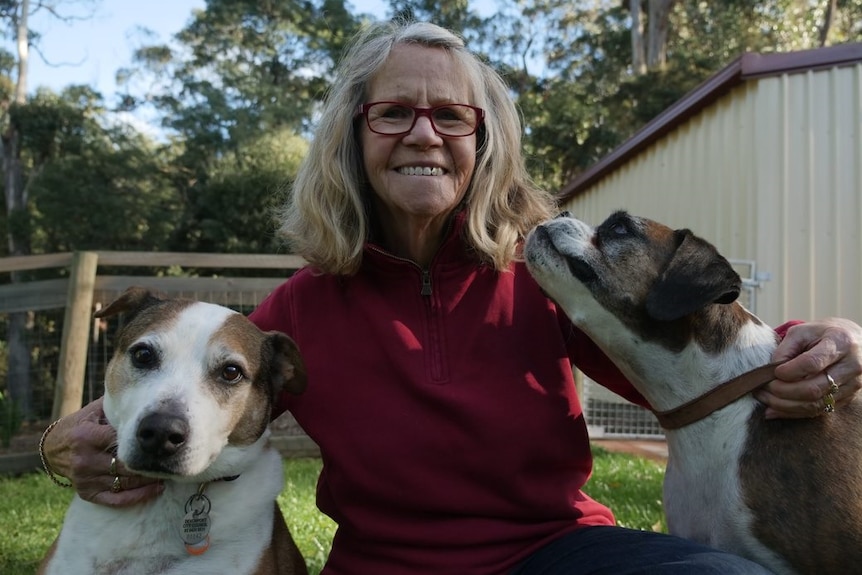 Older woman wearing glasses has arms around two dogs, including a boxer.