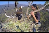 Simon Cherriman with an eagle called Korung