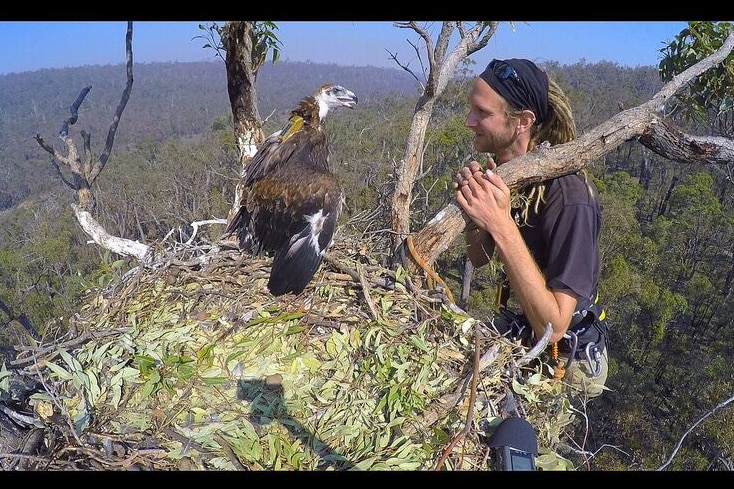 Simon Cherriman with an eagle called Korung