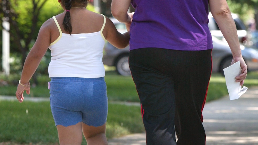 The researchers say one in four Australian children are overweight or obese.