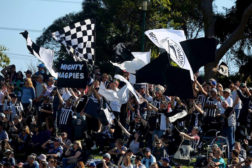 Football supporters stand on a grassy hill waving flags.