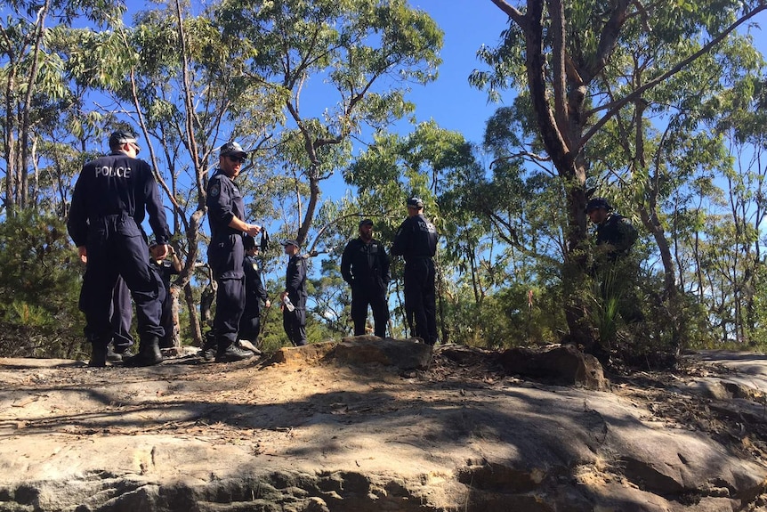 Police search party in bushland.