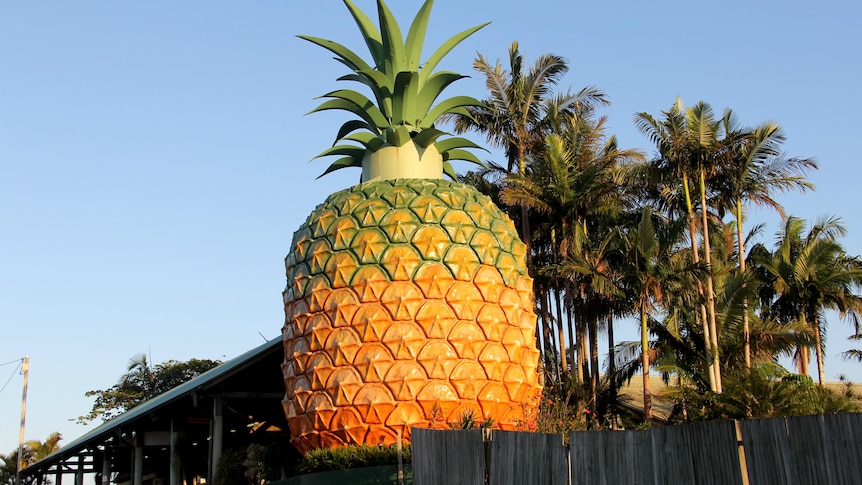 The Big Pineapple.