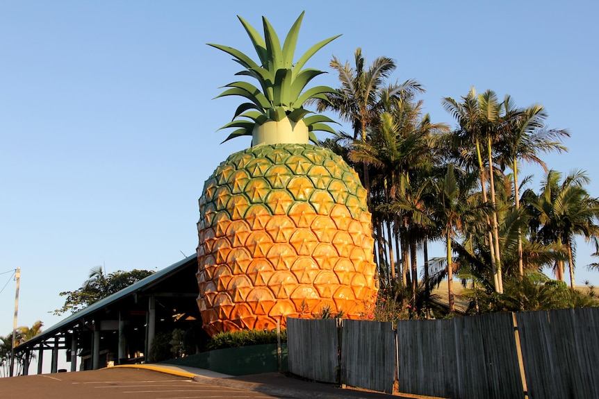 A gigantic pineapple looming above a copse of palm trees.