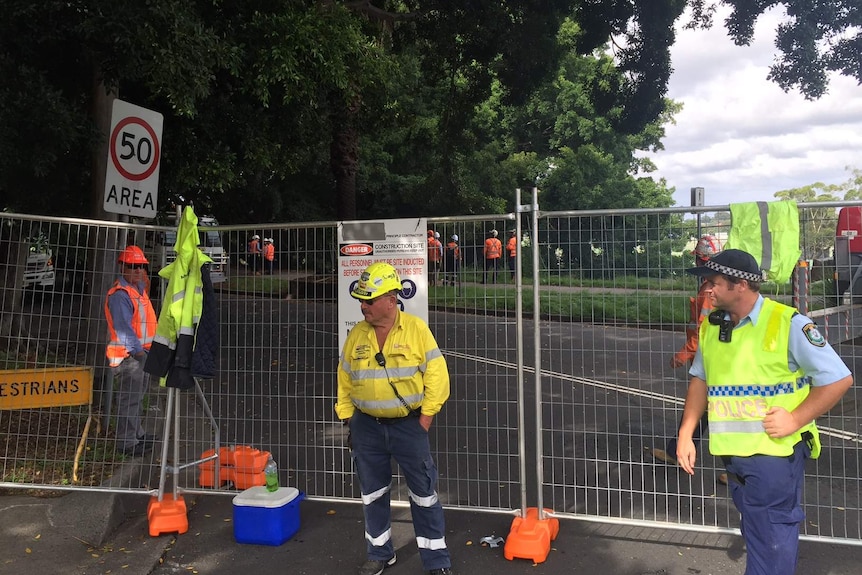 Workers and police at Anzac Parade site where trees are being pruned before they are felled today.