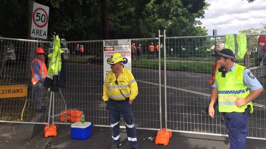 Workers and police at Anzac Parade site where trees are being pruned before they are felled today.